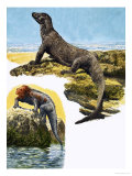 Komodo Monitor and Sea Iguana Giclee Print by Eric Tansley