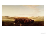 Herd on the Move Giclee Print by William Jacob Hays