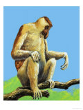 Strange Monkeys Giclee Print by Eric Tansley