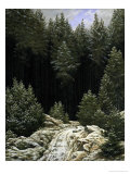 Early Snow, c.1828 Giclée-tryk af Caspar David Friedrich