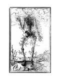 Vascular System of the Body Giclée-Druck von Andreas Vesalius