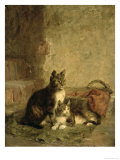 Cats, 1883 Giclee Print by Julius Adam