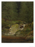 The Evergreens by the Waterfall Wydruk giclee autor Caspar David Friedrich