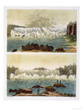 Niagara Falls, 1818 Giclee Print by L.a. Rossi