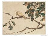 Canary on an Oak Tree Branch Giclee Print by Adolph Freidrich Erdmann Von Menzel