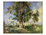 The Old Ash Tree Giclee Print by Edward Arthur Walton