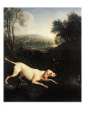 Louis XIV's Dog, Tane Lámina giclée por Alexandre-Francois Desportes Louis XIV's Dog, Tane Lámina giclée por Alexandre-Francois Desportes