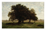 Holm Oaks, Apremont, 1850-52 Giclée-Druck von Pierre Etienne Theodore Rousseau