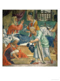 The Birth of the Virgin Impressão giclée por Bernardino Luini