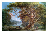 Ancient Beech Tree, 1794 Giclee Print by Paul Sandby