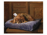 King Charles Spaniel Giclee Print by C. Fulton