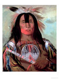 Buffalo's Back Fat, 1832 reproduction procédé giclée par George Catlin