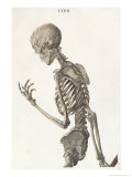 Bones of the Skeleton, from Tabulae Osteologicae by Christoph Jacob Trew Reproduction procédé giclée par Nikolaus Friedrich Eisenberger