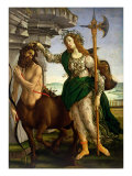 Athene and the Centaur, c.1480 ジクレープリント - サンドロ・ボッティチェッリ