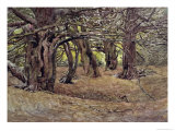 Yews in the Old Yews Wood, Earl of Radnor's Estate, Near Salisbury Giclee Print by George Carline