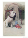Bulldog Giclee Print by Cecil Aldin