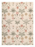 Daisy, Morris, William Lámina giclée por William Morris Daisy, Morris, William Lámina giclée por William Morris