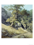 Canonteign, Devon Giclee Print by John White Abbott