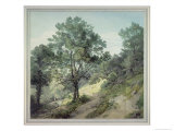 View Near Cantonteign, Devon Giclee Print by John White Abbott