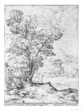 Wooded Landscape Giclee Print by Agostino Carracci