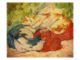 Cats, 1909-10 Giclée-Druck von Franz Marc