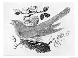 The Cuckoo Giclee-trykk av Thomas Bewick The Cuckoo Giclee-trykk av Thomas Bewick