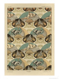 Fans, Plate 14, Fantaisies Decoratives, Librairie de l'Art, Paris, 1887 reproduction procédé giclée par Jules Auguste Habert-dys