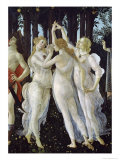 Primavera, c.1478 Giclee Print by Sandro Botticelli