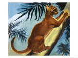 Golden Cat Giclee Print