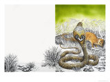 Nature's Kingdom: King Cobra Meets His Match Giclee Print by Susan Cartwright