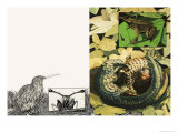 Nature's Kingdom: Strange Survivors Giclee Print by Janet Blakeley