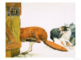 Collie Dog Chases Off a Fox Giclee Print by Kenneth Lilly