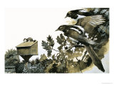 Magpies Watching a Stoat Atop a Bird House Giclee Print by G. W Backhouse