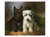 Scottish and a Sealyham Terrier Giclee Print by Lilian Cheviot
