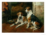 Hounds in a Stable Interior Giclee Print by John Emms