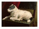 Waiting For Master Giclée-Druck von George Paice