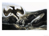 Salmon Being Hunted by a Cormorant Giclee Print by G. W Backhouse