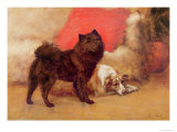 The Red Cushion reproduction procédé giclée par Maud Earl