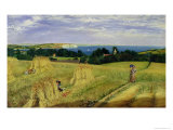 Corn Field in the Isle of Wight Giclee-trykk av Richard Burchett Corn Field in the Isle of Wight Giclee-trykk av Richard Burchett