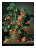 Still Life with Strawberries Giclee Print by W. Weiss