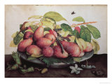 Pears with Hawthorns Impressão giclée por Giovanna Garzoni