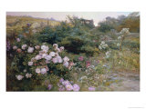 In Full Bloom Giclee-trykk av Henry Arthur Bonnefoy In Full Bloom Giclee-trykk av Henry Arthur Bonnefoy