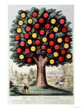 The Tree of Temperance, 1872 Giclee Print by Currier & Ives 