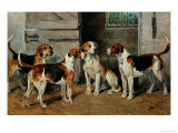 Study of Hounds reproduction procédé giclée par John Emms