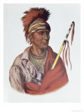 Notchimine, an Iowa Chief, The Indian Tribes of North America, c.1837 Giclee Print by Charles Bird King