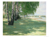 The Garden of the Artist in Wannsee, 1918 Giclee Print by Max Liebermann