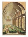 Citrus Trees in a Hothouse, Hesperides by Giovanni Battista Ferrari, Engraved Cammillo Congio Giclee Print by Filippo Gagliardi