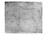 Study of a Horse Lámina giclée por Leonardo da Vinci Study of a Horse Lámina giclée por Leonardo da Vinci