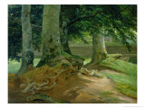 Beech Trees in Frederiksdal Near Copenhagen, 1828 Giclee Print by Christian Ernst Bernhard Morgenstern