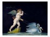 Cupid Being Led by a Pair of Swans Giclee Print by Michelangelo Maestri